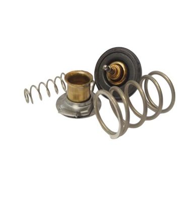 Termostat LR023138 Land Rover Range Rover Range Rover Sport için orijinal