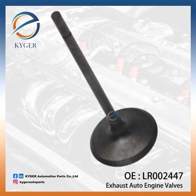Land Rover Range Rover III L322 için egzoz oto motor valfleri LR002447 4646005